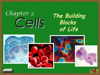 Chapter 2
CellsCells
The Building
Blocks
of Life
 