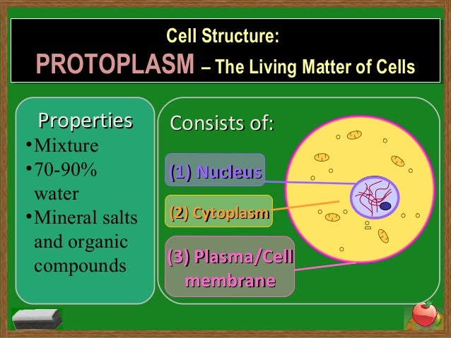 Cells