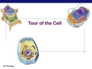 AP Biology
Tour of the Cell
 