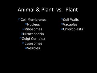 Animal & Plant vs. Plant
Cell Membranes
Nucleus
Ribosomes
Mitochondria
Golgi Complex
Lysosomes
Vesicles
Cell Walls
Vacuoles
Chloroplasts
 