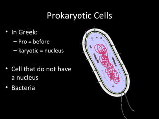 Prokaryotic Cells
• In Greek:
– Pro = before
– karyotic = nucleus
• Cell that do not have
a nucleus
• Bacteria
 