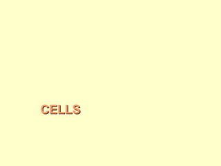 CELLS

 