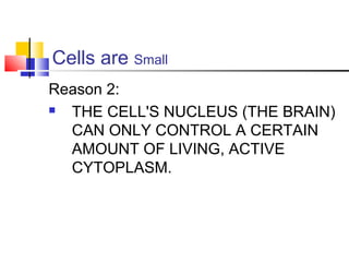 Cells are Small
Reason 2:

THE CELL'S NUCLEUS (THE BRAIN)
CAN ONLY CONTROL A CERTAIN
AMOUNT OF LIVING, ACTIVE
CYTOPLASM.

 