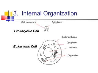 3. Internal Organization
Cell membrane

Cytoplasm

Prokaryotic Cell
Cell membrane
Cytoplasm

Eukaryotic Cell

Nucleus

Organelles

 