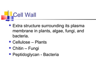 Cell Wall






Extra structure surrounding its plasma
membrane in plants, algae, fungi, and
bacteria.
Cellulose – Plants
Chitin – Fungi
Peptidoglycan - Bacteria

 