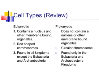Cell Types (Review)
Eukaryotic
1. Contains a nucleus and
other membrane bound
organelles.
2. Rod shaped
chromosomes
3. Found in all kingdoms
except the Eubacteria
and Archaebacteria

Prokaryotic
1.
Does not contain a
nucleus or other
membrane bound
organelles.
2.
Circular chromosome
3.
Found only in the
Eubacteria and
Archaebacteria
Kingdoms

 