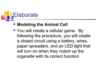Elaborate



Modeling the Animal Cell
You will create a cellular game. By
following the procedure, you will create
a closed circuit using a battery, wires,
paper spreaders, and an LED light that
will turn on when they match up the
organelle with its correct function

 