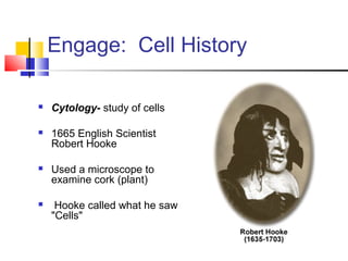 Engage: Cell History


Cytology- study of cells



1665 English Scientist
Robert Hooke



Used a microscope to
examine cork (plant)



Hooke called what he saw
"Cells"

 