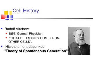 Cell History



Rudolf Virchow





1855, German Physician
" THAT CELLS ONLY COME FROM
OTHER CELLS".

His statement debunked
"Theory of Spontaneous Generation"

 