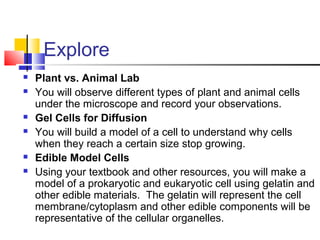 Explore









Plant vs. Animal Lab
You will observe different types of plant and animal cells
under the microscope and record your observations.
Gel Cells for Diffusion
You will build a model of a cell to understand why cells
when they reach a certain size stop growing.
Edible Model Cells
Using your textbook and other resources, you will make a
model of a prokaryotic and eukaryotic cell using gelatin and
other edible materials. The gelatin will represent the cell
membrane/cytoplasm and other edible components will be
representative of the cellular organelles.

 