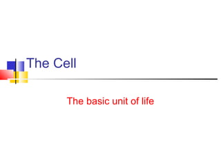 The Cell
The basic unit of life

 