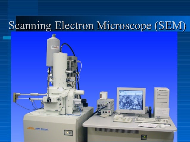 impact light and electron microscope cell theory Impact of light and electron microscope on cell theory the electron microscope enabled the viewing of cells at a higher magnification and resolution but is. impact light and electron microscope cell theory Impact of light and electron microscope on cell theory the electron microscope enabled the viewing of cells at a higher magnification and resolution but is.