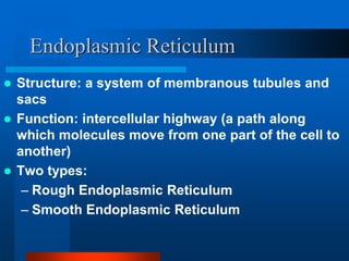 Endoplasmic Reticulum 
 Structure: a system of membranous tubules and 
sacs 
 Function: intercellular highway (a path along 
which molecules move from one part of the cell to 
another) 
 Two types: 
– Rough Endoplasmic Reticulum 
– Smooth Endoplasmic Reticulum 
 