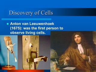 Discovery of Cells 
 Anton van Leeuwenhoek 
(1675): was the first person to 
observe living cells. 
 