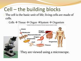 Cells | PPTX