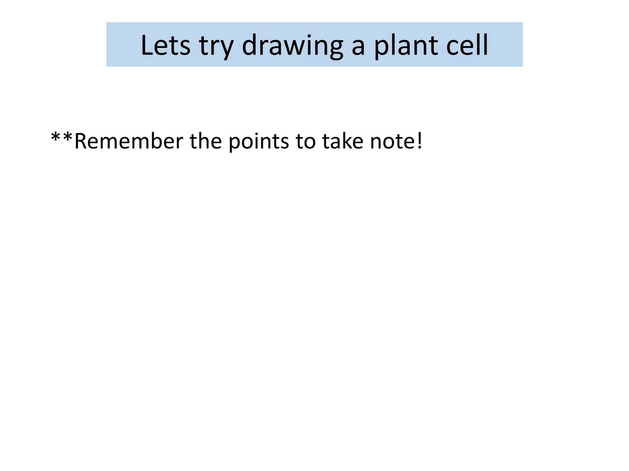 **Remember the points to take note!
Lets try drawing a plant cell
 
