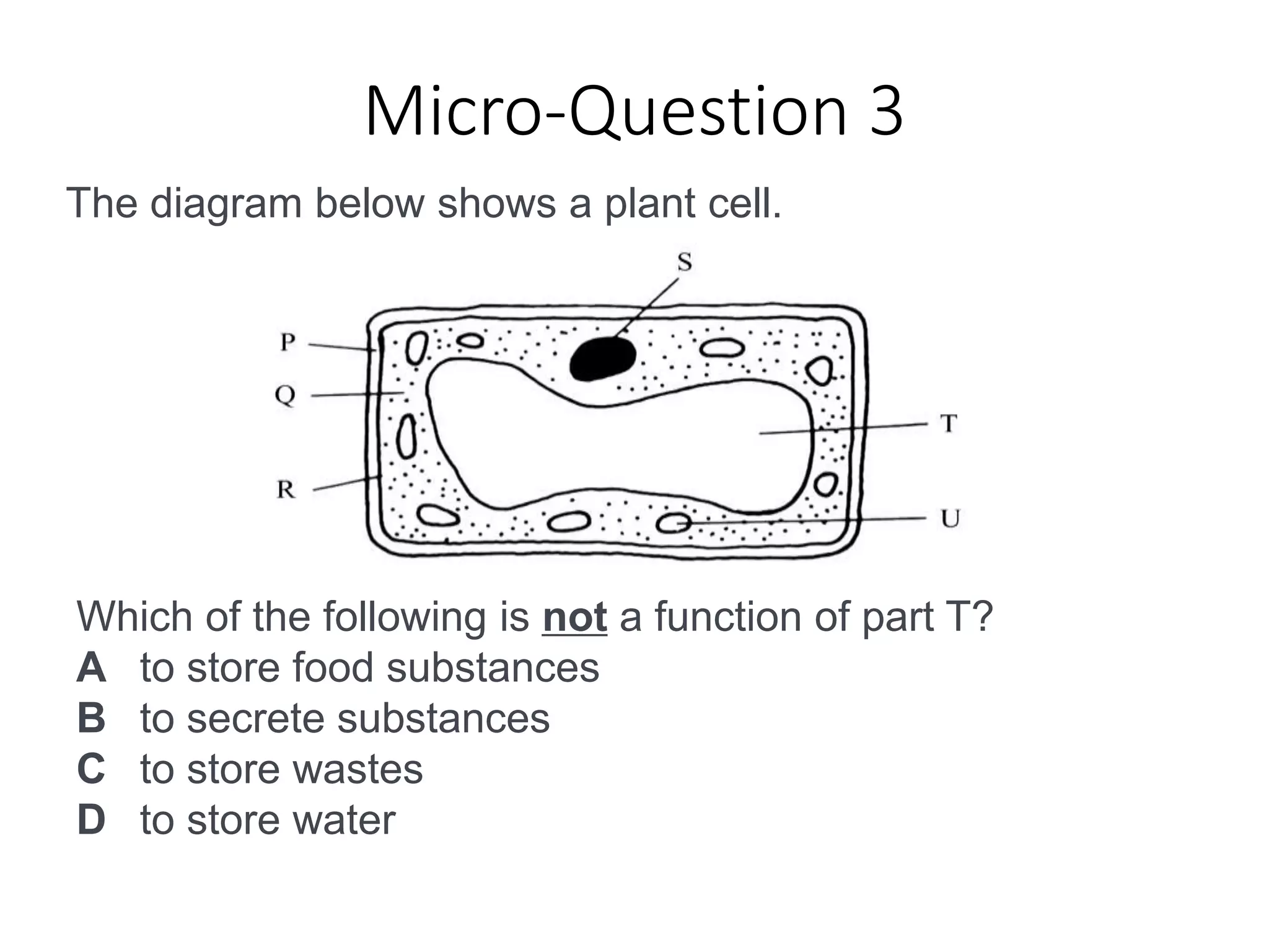 Micro-Question 3
The diagram below shows a plant cell.
Which of the following is not a function of part T?
A to store food substances
B to secrete substances
C to store wastes
D to store water
 