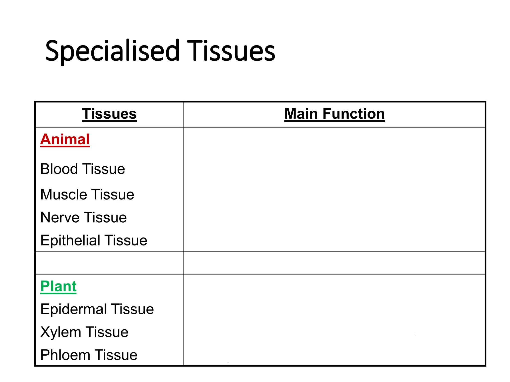 Specialised Tissues
Tissues Main Function
Animal
Blood Tissue Transports food and oxygen
Muscle Tissue Produces Movement
Nerve Tissue Transmits impulses
Epithelial Tissue Protects Cell
Plant
Epidermal Tissue Forms and protects surface of cell
Xylem Tissue Transports water and mineral salts
Phloem Tissue Transports food
 