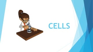 CELLS
 