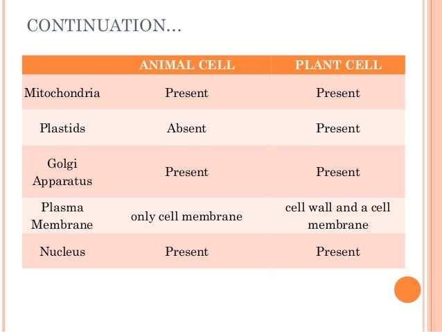 Cells Cells