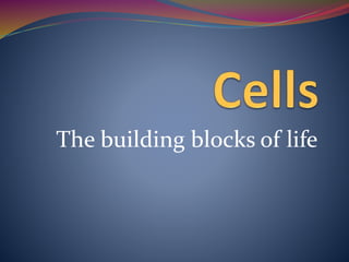 The building blocks of life
 