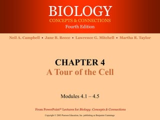 BIOLOGY
CONCEPTS & CONNECTIONS
Fourth Edition
Copyright © 2003 Pearson Education, Inc. publishing as Benjamin Cummings
Neil A. Campbell • Jane B. Reece • Lawrence G. Mitchell • Martha R. Taylor
From PowerPoint® Lectures for Biology: Concepts & Connections
CHAPTER 4
A Tour of the Cell
Modules 4.1 – 4.5
 