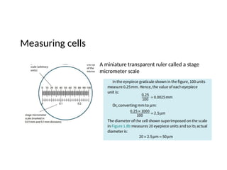 Cell Image Ruler Cells- cell organelles and functions.pptx