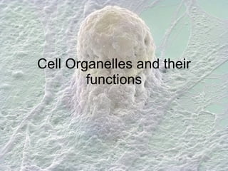 Cell Organelles and their functions 