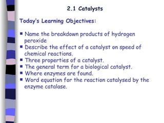 2.1 Catalysts ,[object Object],[object Object],[object Object],[object Object],[object Object],[object Object],[object Object],[object Object],[object Object],[object Object]