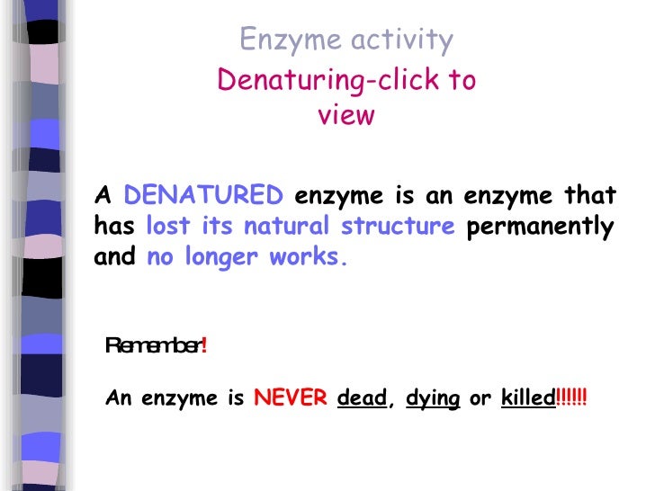 Cells And Enzymes