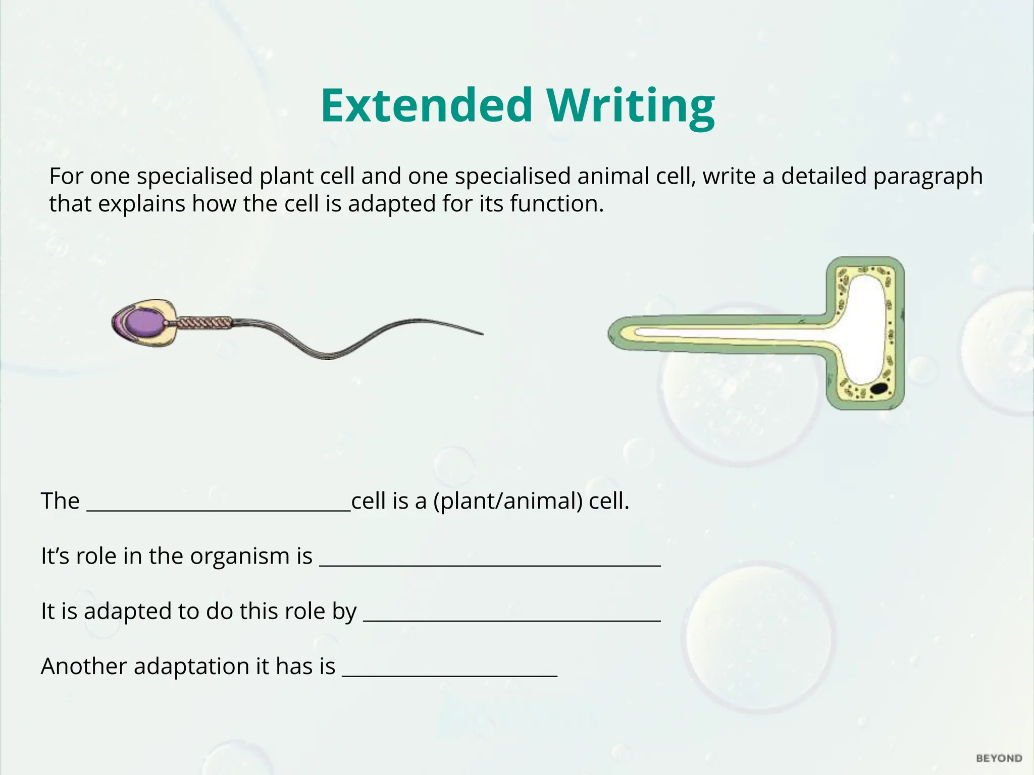 Cells-and-Organisation-L4-Specialised-Cells-PowerPoint.pptx