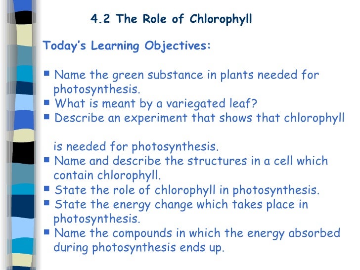 Cells And Photosynthesis