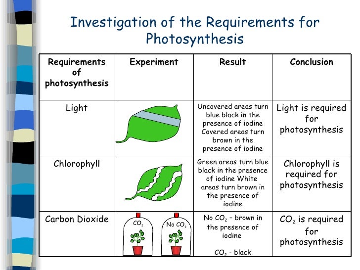 download synthesis and characterization