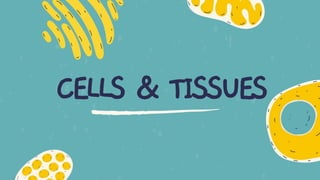 CELLS & TISSUES
 