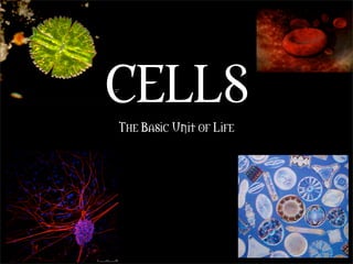 CELLS
The Basic Unit of Life
 