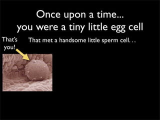 Once upon a time...
     you were a tiny little egg cell
That’s   That met a handsome little sperm cell. . .
 you!
 