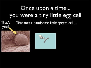 Once upon a time...
     you were a tiny little egg cell
That’s   That met a handsome little sperm cell. . .
 you!
 