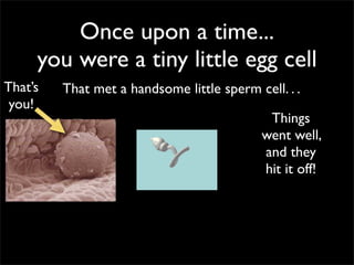 Once upon a time...
     you were a tiny little egg cell
That’s   That met a handsome little sperm cell. . .
 you!
                                             Things
                                            went well,
                                            and they
                                            hit it off!
 