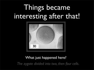 Things became
interesting after that!




       What just happened here?
 The zygote divided into two, then four cells.
 