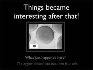Things became
interesting after that!




       What just happened here?
 The zygote divided into two, then four cells.
 