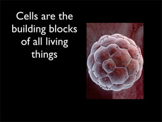 Cells are the
building blocks
  of all living
     things
 