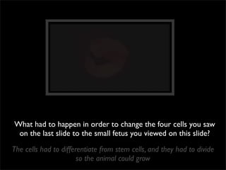 What had to happen in order to change the four cells you saw
 on the last slide to the small fetus you viewed on this slide?

The cells had to differentiate from stem cells, and they had to divide
                       so the animal could grow
 