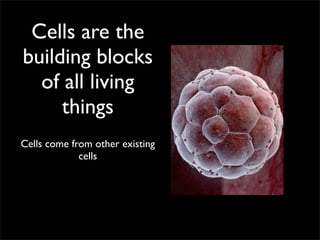 Cells are the
building blocks
  of all living
     things
Cells come from other existing
             cells
 