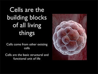 Cells are the
 building blocks
   of all living
      things
Cells come from other existing
             cells

Cells are the basic structural and
       functional unit of life
 