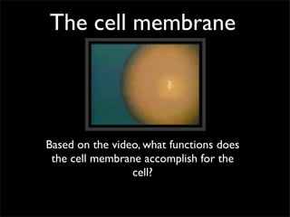 The cell membrane



Based on the video, what functions does
 the cell membrane accomplish for the
                 cell?
 
