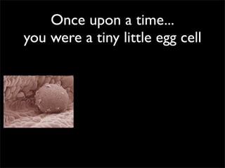 Once upon a time...
you were a tiny little egg cell
 