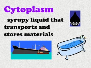 Cells, Cells, Cells 2008