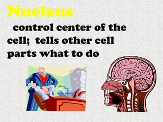 Cells, Cells, Cells 2008