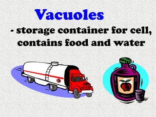 Cells, Cells, Cells 2008