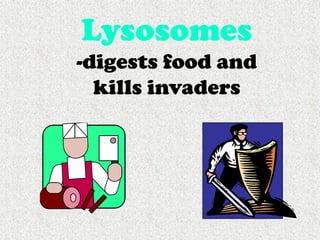 Cells, Cells, Cells 2008